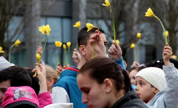 FOTO: Deň narcisov je už 30 rokov symbolom podpory a nádeje. V uliciach Trenčína sú dobrovoľníci, ako ich spoznáte? 