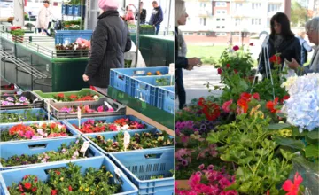 Na trhovisku Družba v Trenčíne už ožíva jar, prvé stánky lákajú čerstvou ponukou, predajné dni sa tento rok nemenia