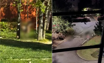 VIDEO: Nezvyčajný pohľad na  sídlisku Juh v Trenčíne, neuveríte, kto sa prechádzal medzi panelákmi priamo pri ihrisku 