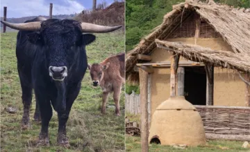 Už v sobotu otvoria v Bošáckej doline jedinečný archeopark, návštevníkov prenesie do sveta Keltov a pravekých remesiel