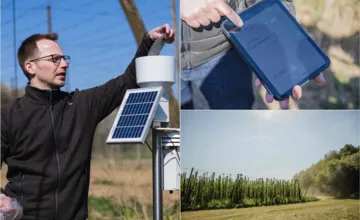 Poslednej chmeľnici pri Trenčíne pomáhajú k zachovaniu technológie: Prazdroj rozbehol unikátny projekt