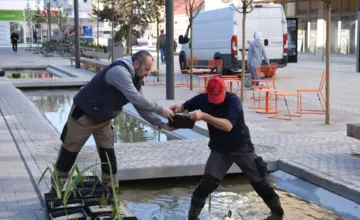 V Trenčíne budú kvitnúť lekná, na Hviezdoslavovej vybudovali tri jazierka v unikátnej kombinácii