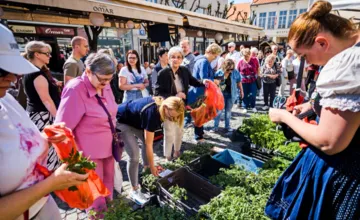 Trenčín sa pripravuje na veľký jarný festival, tradičný Majáles ponúkne koncerty, remeslá, divadlo aj farmársky jarmok