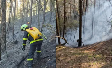 FOTO: Les pri obci v okrese Považská Bystrica zachvátil požiar, zasahujú desiatky hasičov