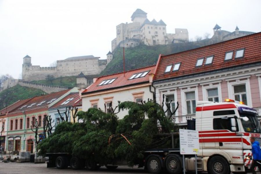Vianočný stromček už zdobí centrum Trenčína, rozsvieti ho Mikuláš, foto 1