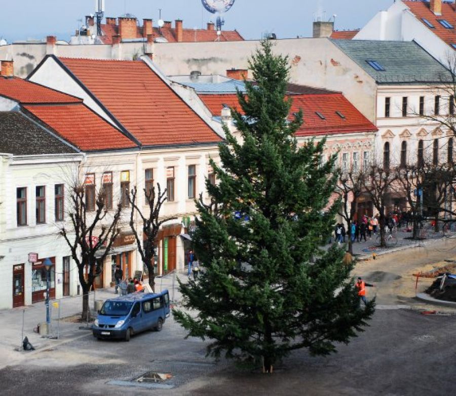 Vianočný stromček už zdobí centrum Trenčína, rozsvieti ho Mikuláš, foto 3