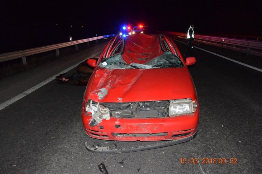 Osobné auto sa pri Prievidzi zrazilo s koňom, polícia pátra o majiteľovi uhynutého zvieraťa, foto 1