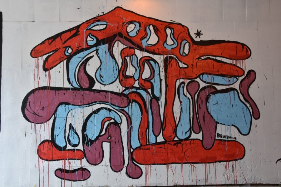 Umelci vdýchli nový život stenám podchodu na Hasičskej ulici počas podujatia Fest ART v Trenčíne, foto 28