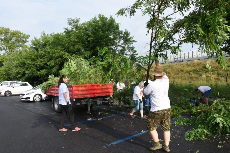 Aj v meste Trenčín dnes pomáhali dobrovoľníci z viacerých firiem v rámci projektu Naše Mesto, foto 12