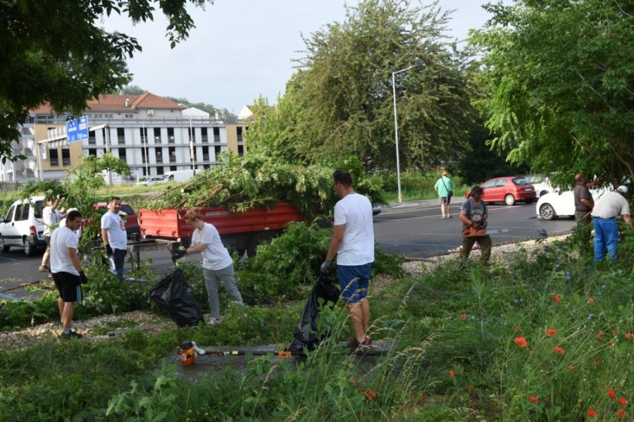 Aj v meste Trenčín dnes pomáhali dobrovoľníci z viacerých firiem v rámci projektu Naše Mesto, foto 14