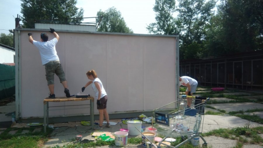 Aj v meste Trenčín dnes pomáhali dobrovoľníci z viacerých firiem v rámci projektu Naše Mesto, foto 24