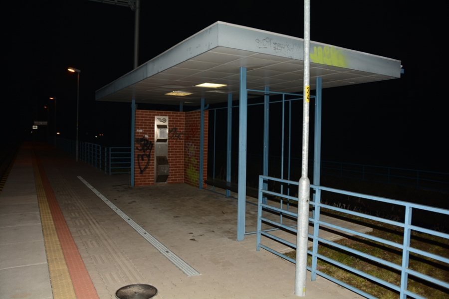 15-roční mladíci čelia obvineniu z poškodzovania cudzej veci, popísali vozeň aj steny na zastávke, foto 5