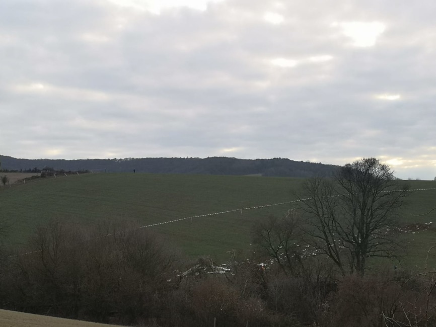FOTO: Pád lietadla pri Trenčíne 22. 2. 2023, foto 3
