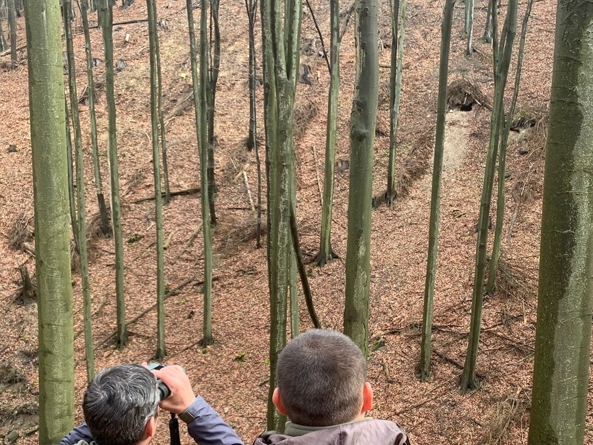 FOTO: Odhalenie Zásahového tímu pre medveďa hnedého: V Nedožeroch-Brezanoch neútočila tá istá šelma ako v Tužine, foto 1