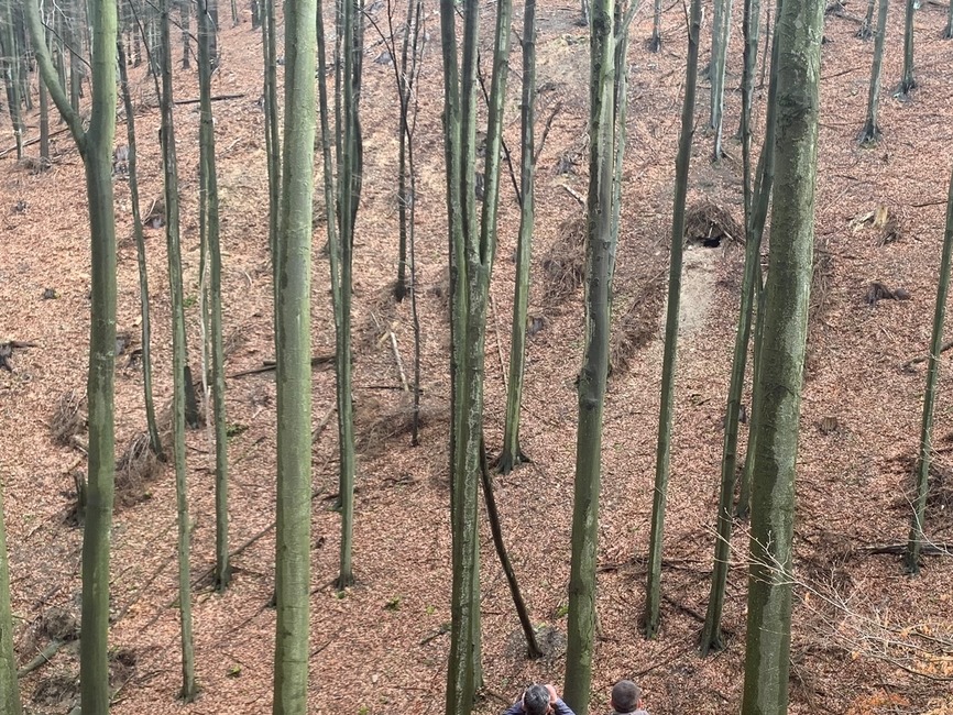 FOTO: Odhalenie Zásahového tímu pre medveďa hnedého: V Nedožeroch-Brezanoch neútočila tá istá šelma ako v Tužine, foto 2