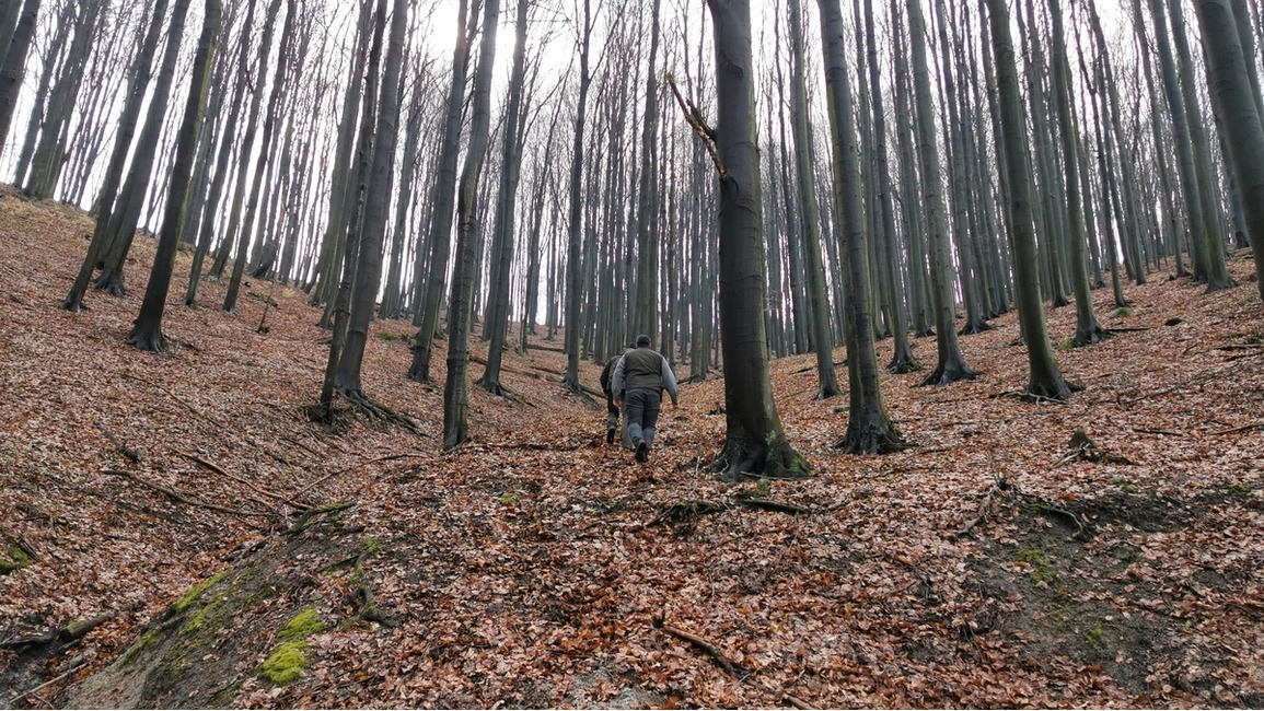 FOTO: Odhalenie Zásahového tímu pre medveďa hnedého: V Nedožeroch-Brezanoch neútočila tá istá šelma ako v Tužine, foto 5