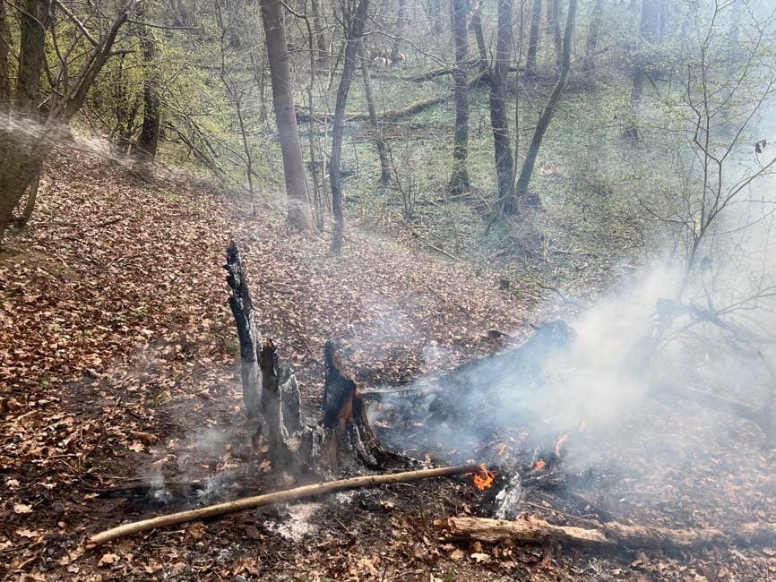 FOTO: Na hornej Nitre dnes ráno opäť horelo v lese. S plameňmi si poradili hasiči z Nitrianskeho Pravna, foto 1