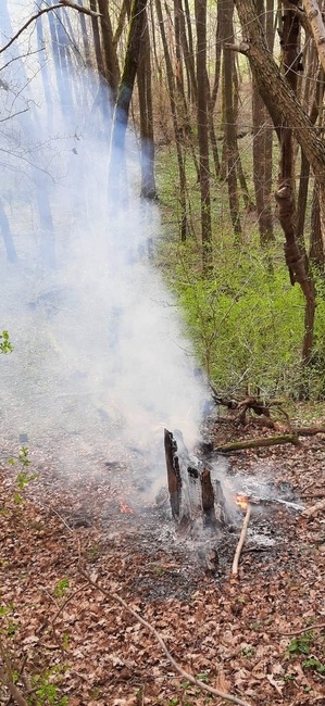 FOTO: Na hornej Nitre dnes ráno opäť horelo v lese. S plameňmi si poradili hasiči z Nitrianskeho Pravna, foto 3