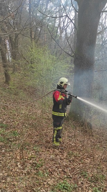 FOTO: Na hornej Nitre dnes ráno opäť horelo v lese. S plameňmi si poradili hasiči z Nitrianskeho Pravna, foto 4