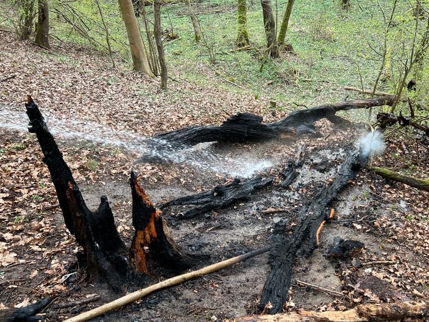 FOTO: Na hornej Nitre dnes ráno opäť horelo v lese. S plameňmi si poradili hasiči z Nitrianskeho Pravna, foto 5