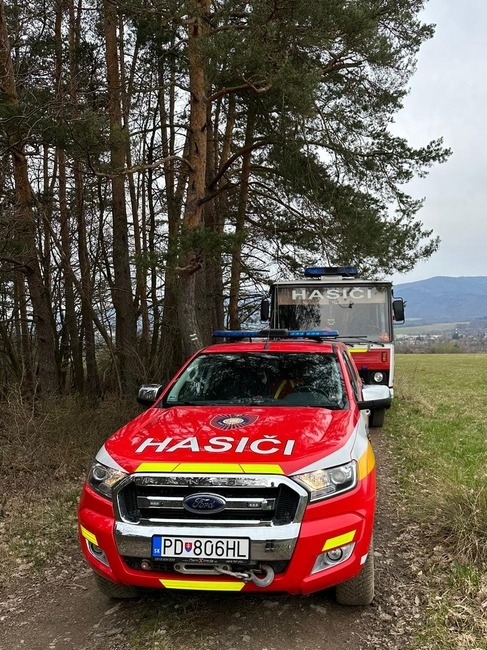 FOTO: Na hornej Nitre dnes ráno opäť horelo v lese. S plameňmi si poradili hasiči z Nitrianskeho Pravna, foto 6