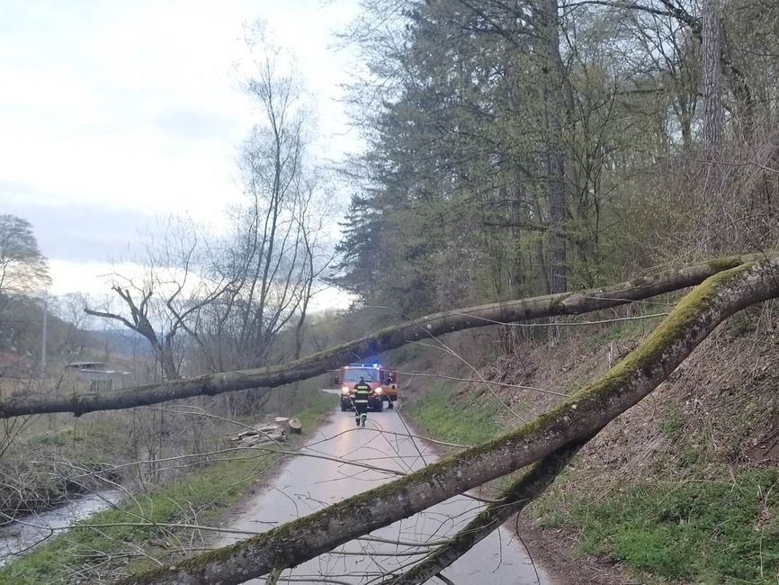 FOTO: Netradičná „ranná rozcvička“ dobrovoľných hasičov v Opatovej. Na pomoc si ich zavolali mestskí policajti, foto 6
