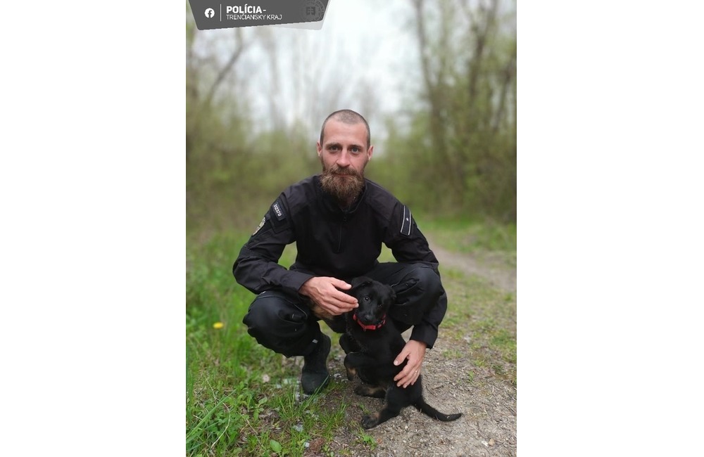 FOTO: Komisárka Rex z Trenčína – roztomilá posila policajných psovodov, foto 1