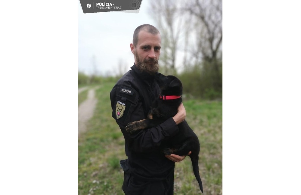 FOTO: Komisárka Rex z Trenčína – roztomilá posila policajných psovodov, foto 3