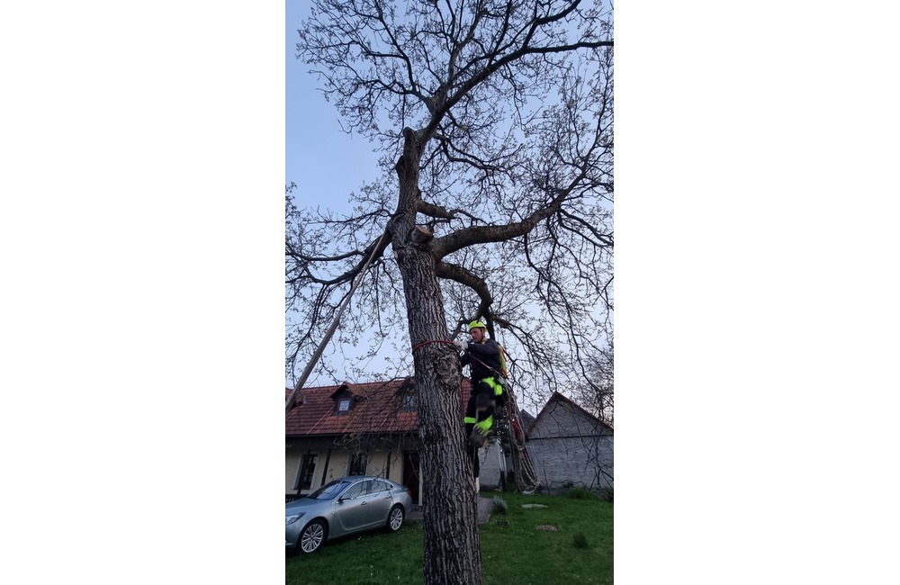FOTO: Domino zamestnal v Ladcoch dobrovoľných hasičov. Záchranná akcia vysoko nad zemou , foto 2