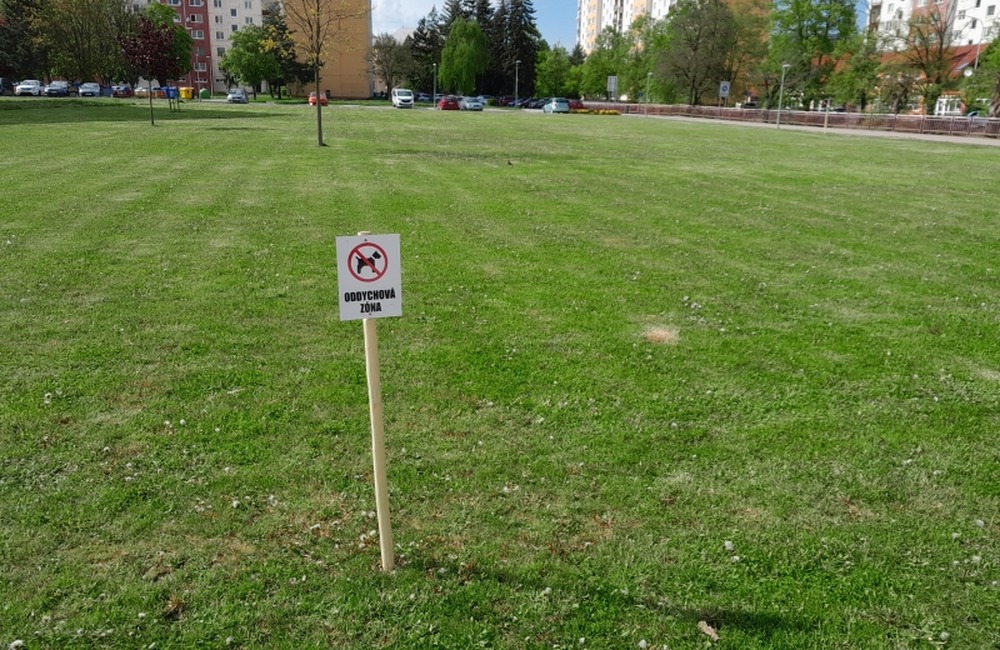 FOTO: V centre Starej Turej vyrastie divoká lúka. Domáci maznáčikovia tam budú mať  stopku, foto 3