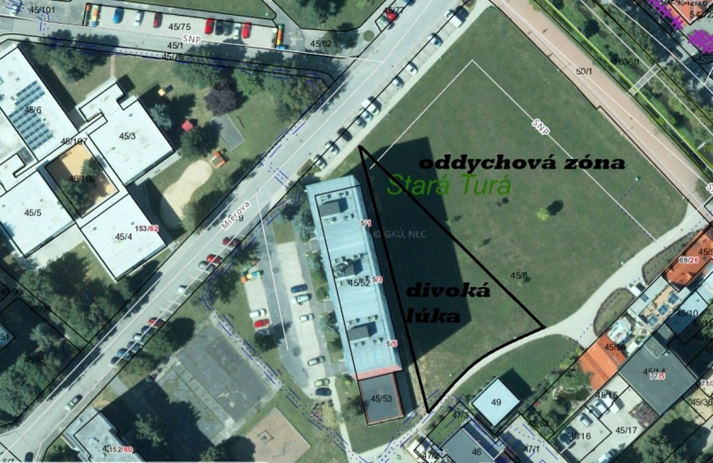 FOTO: V centre Starej Turej vyrastie divoká lúka. Domáci maznáčikovia tam budú mať  stopku, foto 6