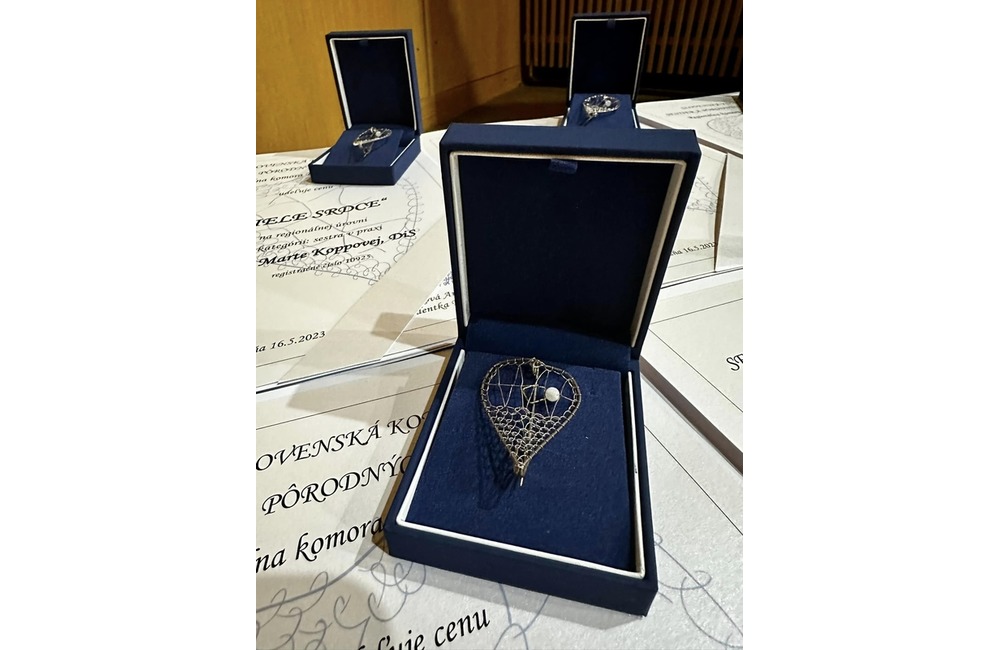 FOTO: Ocenené zdravotné sestry a pôrodné asistentky z považskobystrickej nemocnice, foto 2