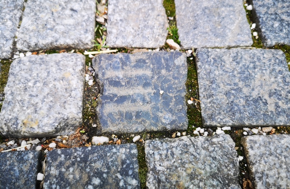 FOTO: Po čom Novomešťania kráčali? Osud vzácnych dlažobných kociek je už spečatený, foto 2