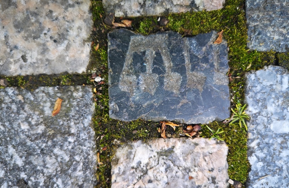 FOTO: Po čom Novomešťania kráčali? Osud vzácnych dlažobných kociek je už spečatený, foto 4