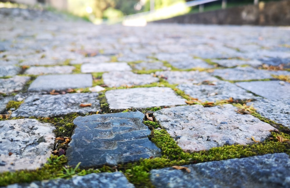 FOTO: Po čom Novomešťania kráčali? Osud vzácnych dlažobných kociek je už spečatený, foto 5