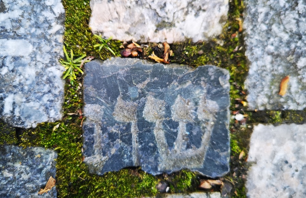 FOTO: Po čom Novomešťania kráčali? Osud vzácnych dlažobných kociek je už spečatený, foto 7