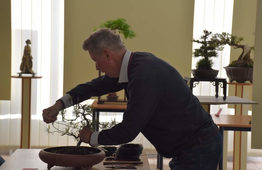 FOTO: Maxi výstava mini stromov v Považskej Bystrici. Ktorý je najkrajší?, foto 1