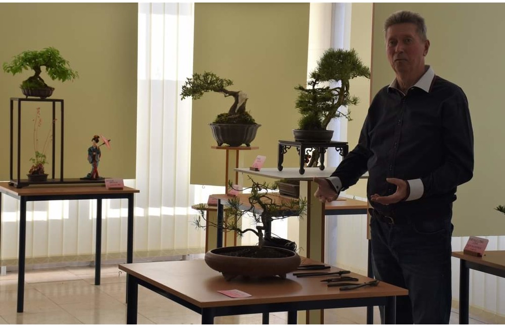 FOTO: Maxi výstava mini stromov v Považskej Bystrici. Ktorý je najkrajší?, foto 6