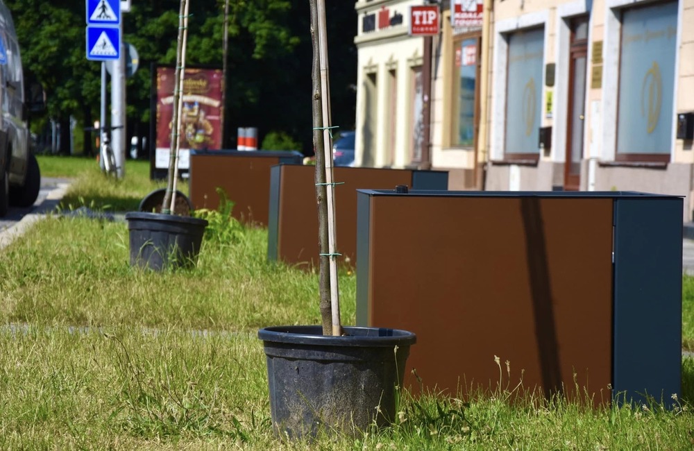 FOTO: Nová mobilná zeleň na Palackého ulici v Trenčíne, foto 1