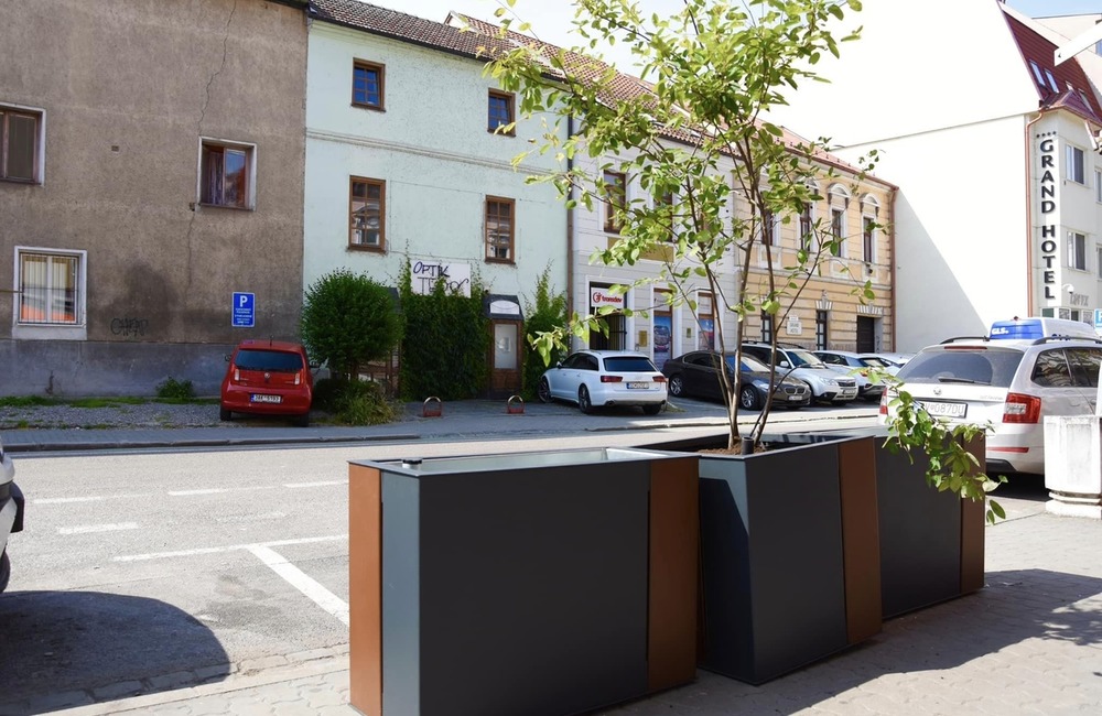 FOTO: Nová mobilná zeleň na Palackého ulici v Trenčíne, foto 3