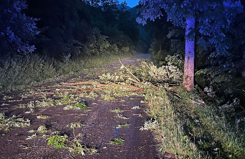 FOTO: Silná búrka lámala stromy na hornej Nitre. Hasiči museli spadnuté dreviny odpratávať z cesty, foto 3