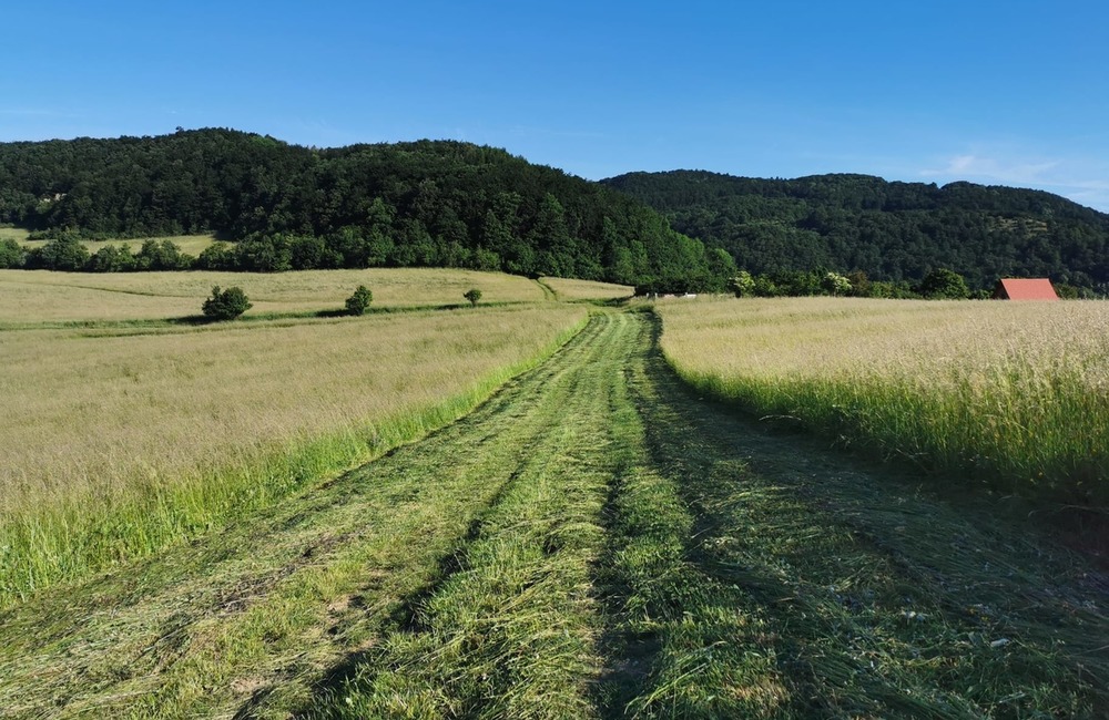 FOTO: So zatúlanými exotmi v Trenčianskom kraji sa roztrhlo vrece. Neďaleko Trenčína sa špacíroval riadny skvost, foto 2