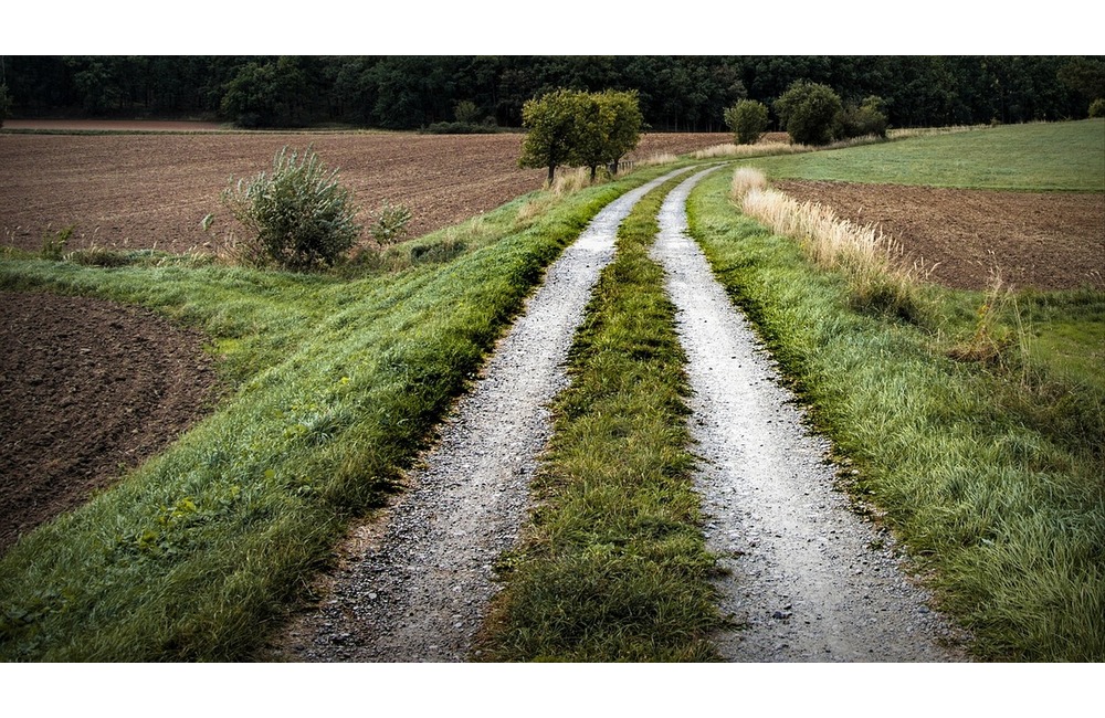 FOTO: So zatúlanými exotmi v Trenčianskom kraji sa roztrhlo vrece. Neďaleko Trenčína sa špacíroval riadny skvost, foto 5