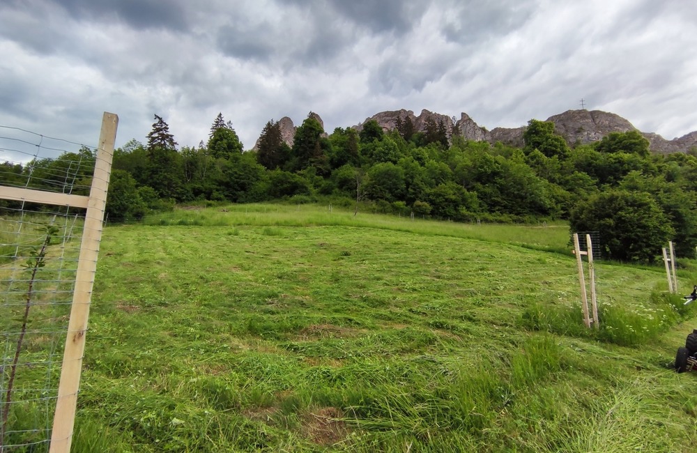 FOTO: Siláci na hrade Lednica. Športovci si vyhrnuli rukávy a ratovali históriu, foto 2