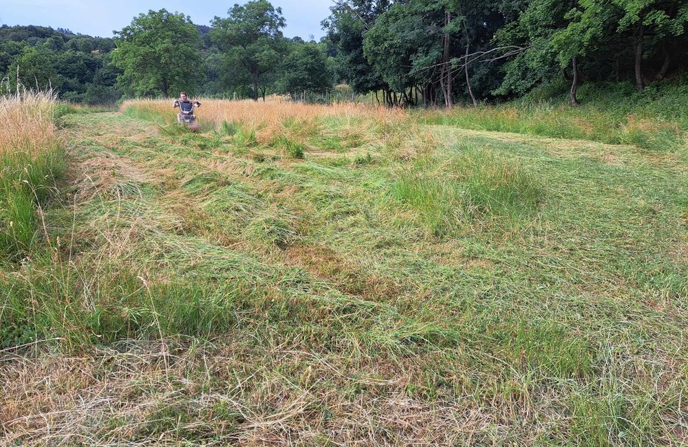 FOTO: Siláci na hrade Lednica. Športovci si vyhrnuli rukávy a ratovali históriu, foto 3