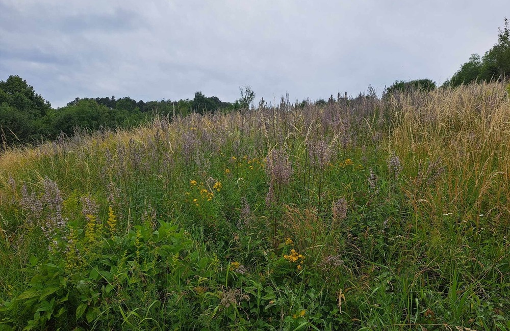 FOTO: Siláci na hrade Lednica. Športovci si vyhrnuli rukávy a ratovali históriu, foto 4