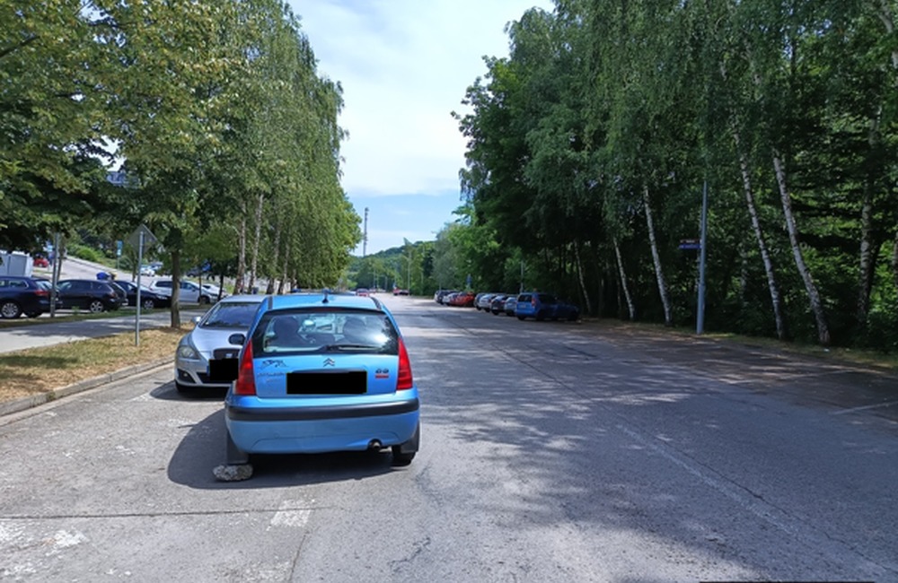 FOTO: Mestskí policajti stopli prípravu „chutnej delikatesy“ v chránenej oblasti, ratovali auto bez vodiča aj srnku, foto 1