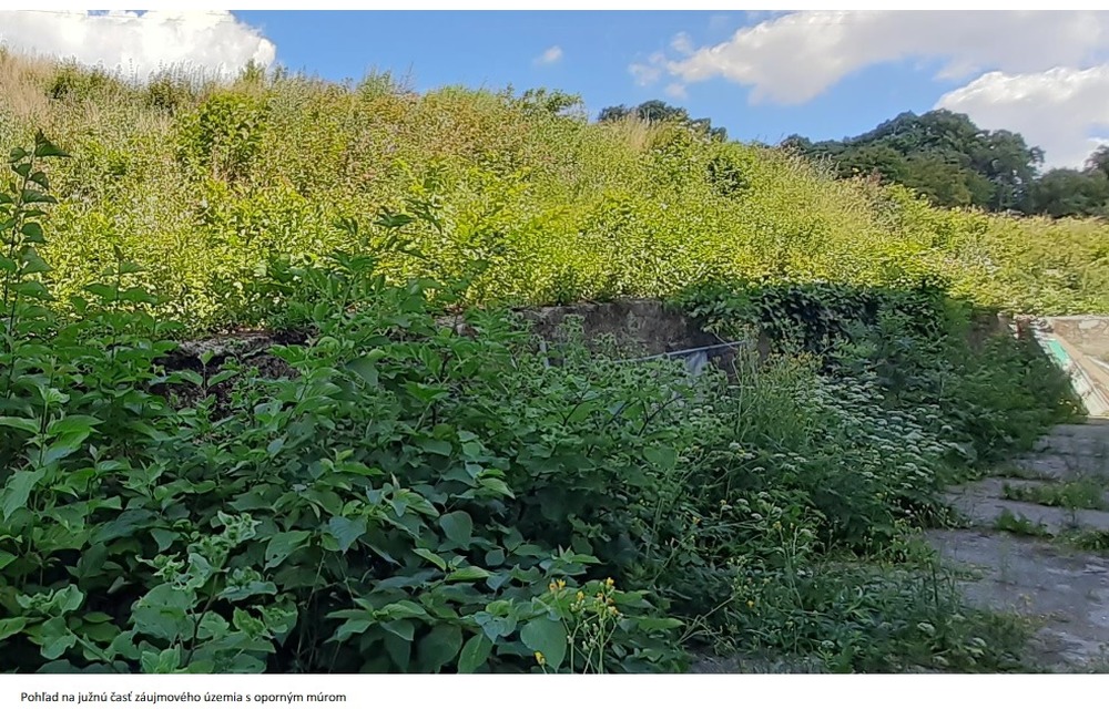 FOTO: Namiesto buriny má v Starej Turej pod železnicou vyrásť bombastický ekopark, foto 15