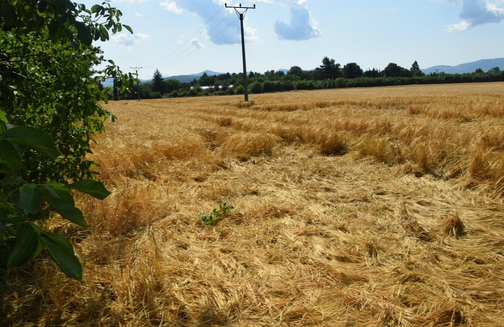 FOTO: Mack pomohol policajtom s prípadom krádeže, foto 5