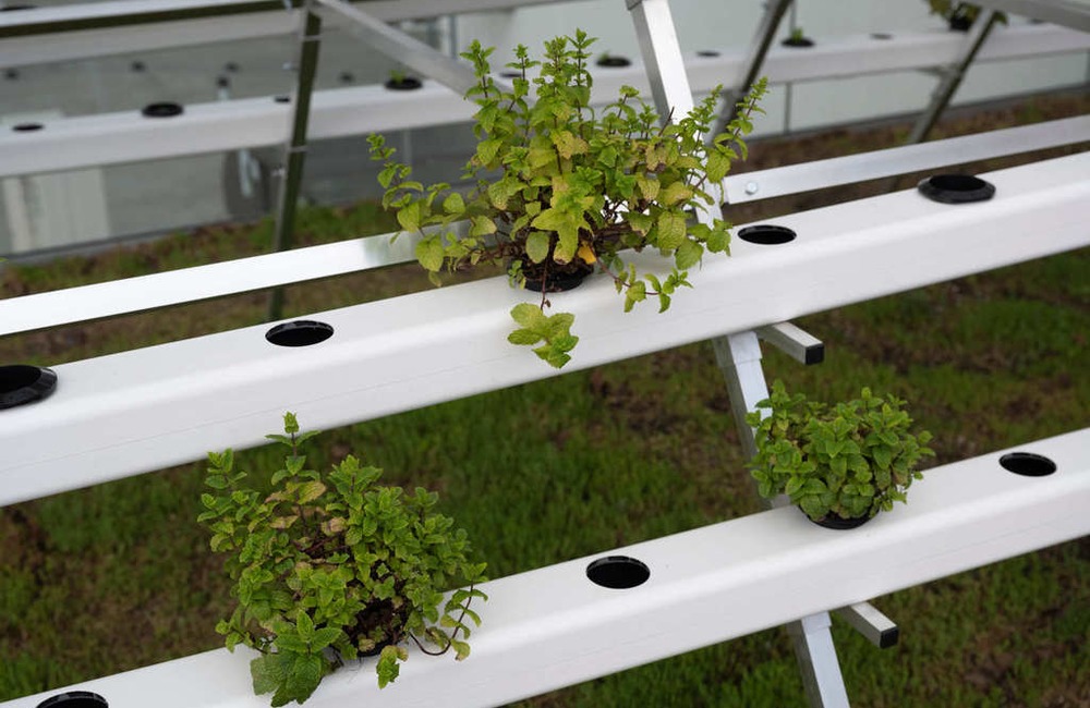 FOTO: Nové športovisko v areáli púchovského gymnázia, foto 14